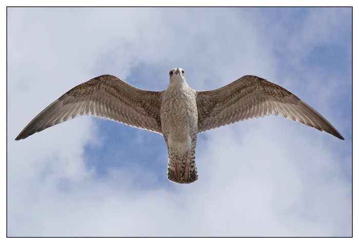 Flying high