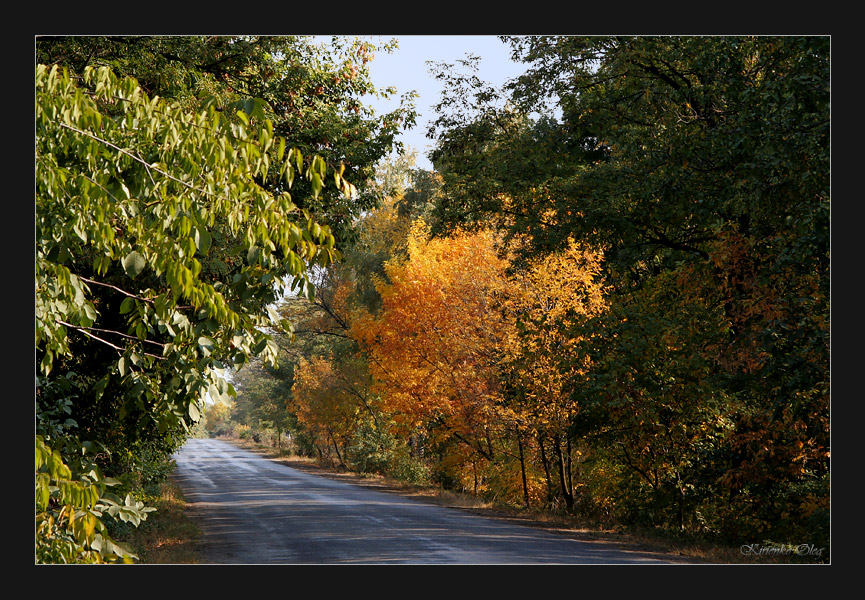 Дорожная