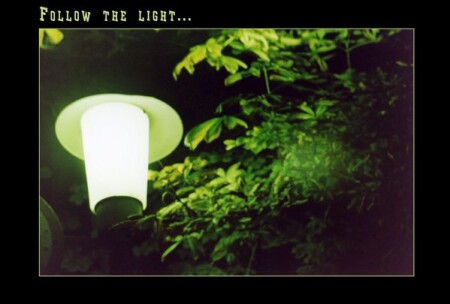 Light