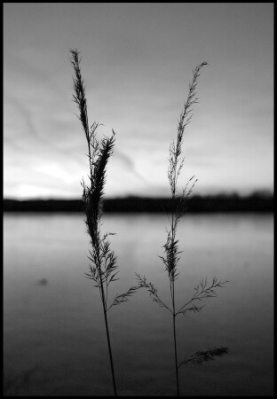 Вместе навсегда