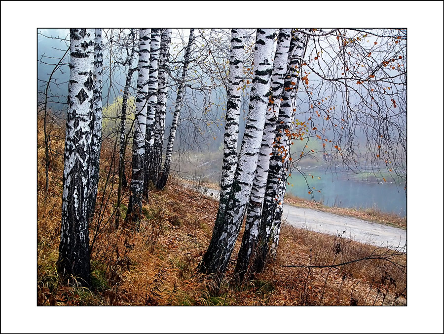 Осень в саду (Сибирском ботаническом)