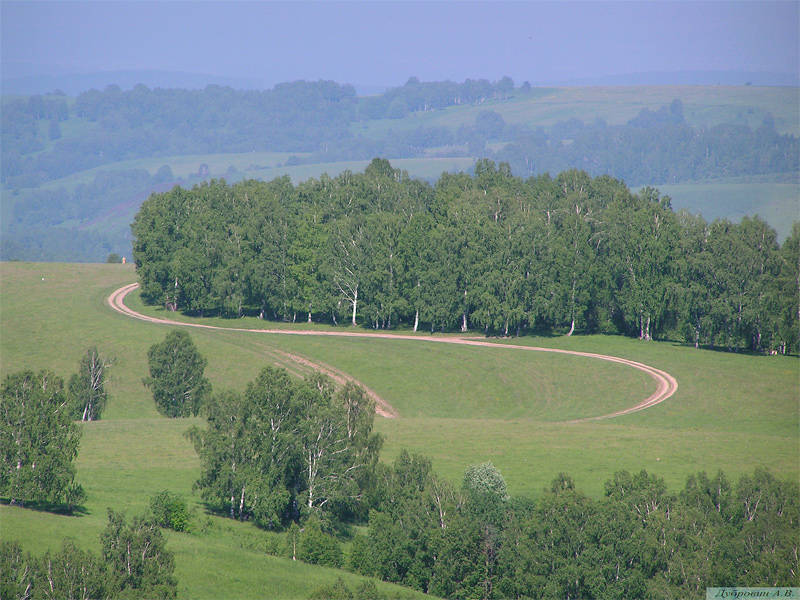 Вираж