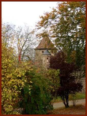Hirschorn