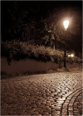 Дорога домой