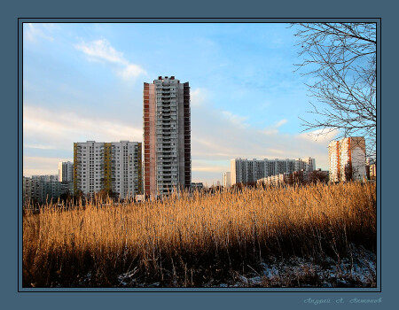 Утро в городе