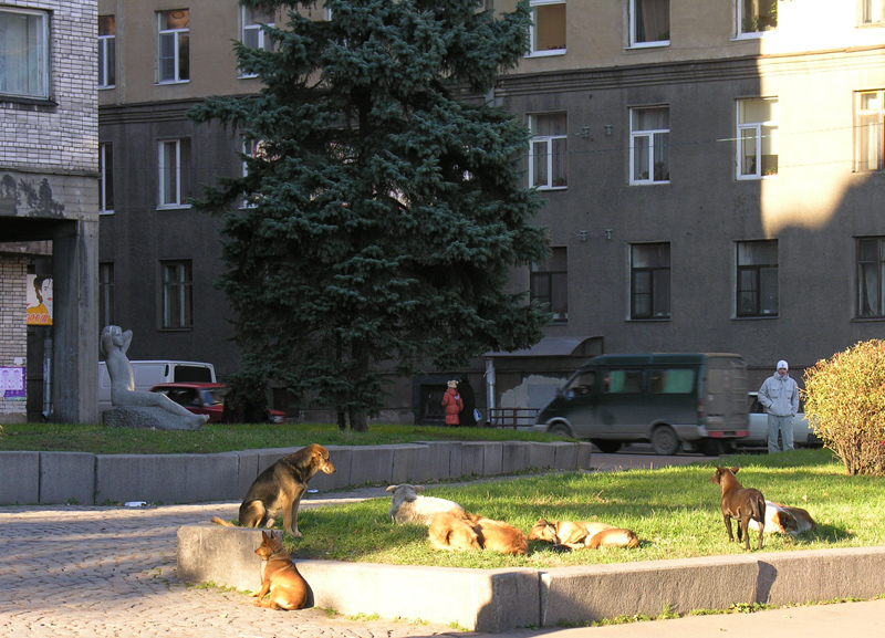 Солярий