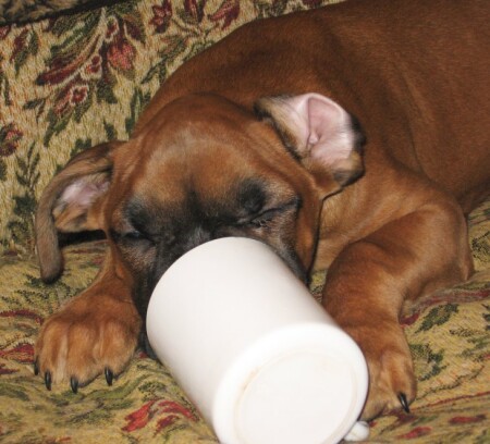 Чайная церемония