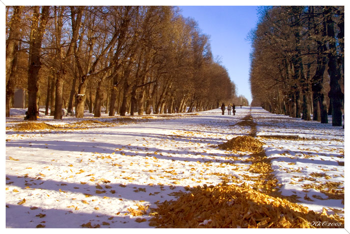 Зимняя осень