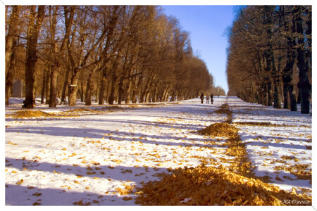 Зимняя осень