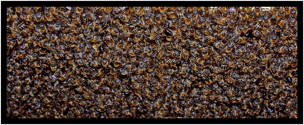 Texture