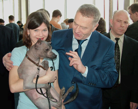 "Человек похожий на Жириновского" :)