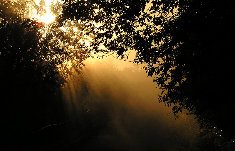 New day.