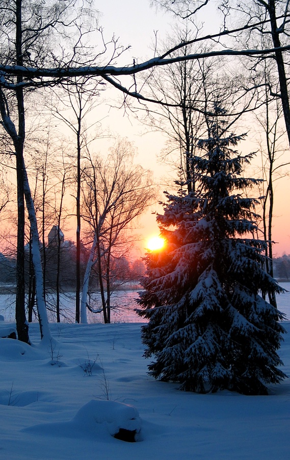 Краски зимы