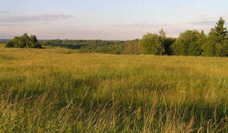 Широка страна...