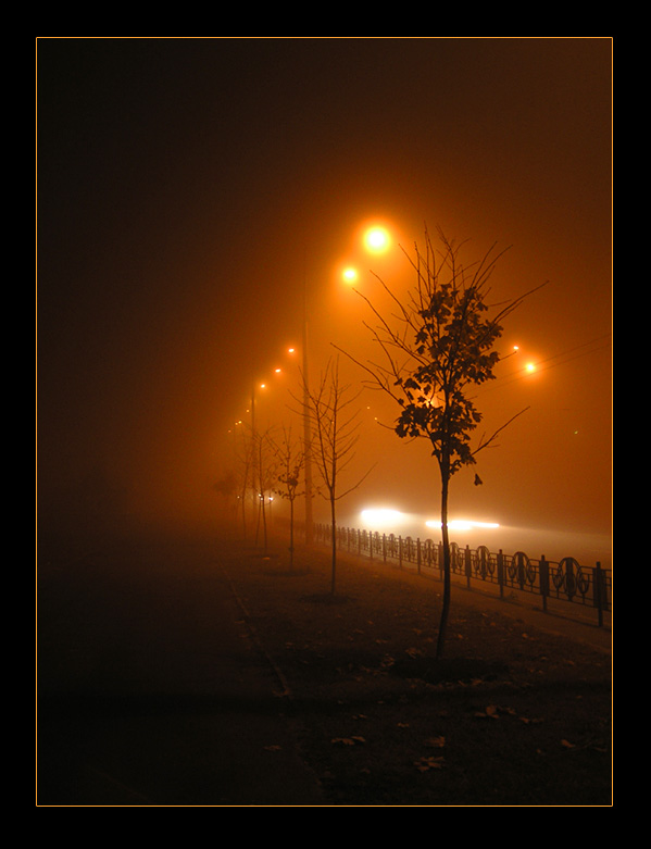 туман