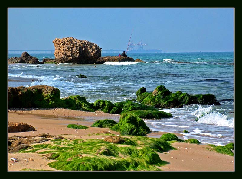 ОСЕННЕЕ МОРЕ