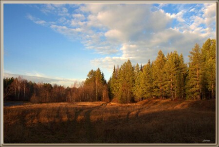 По лесным дорогам - провожая осень