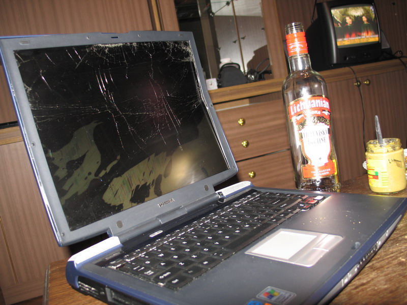 crash test for toshiba
