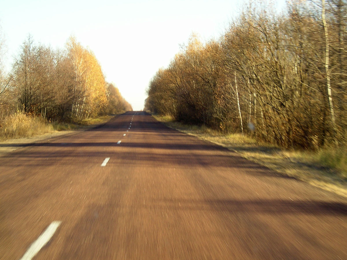  Дорожная лента