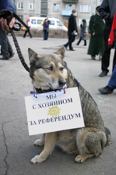 собака