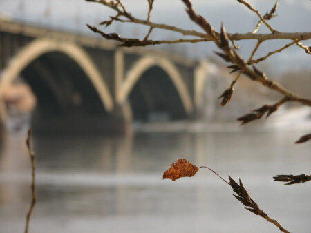 Последний...