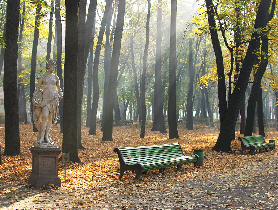 Осеннее утро в Летнем