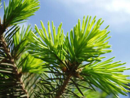 Обновление