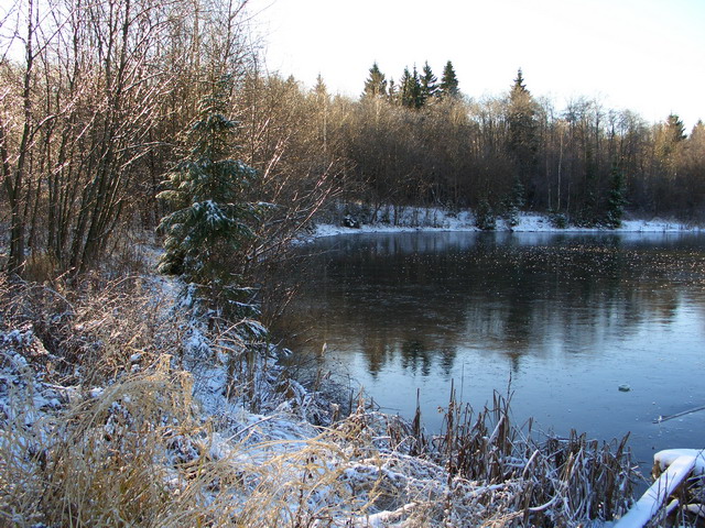 Первые заморозки