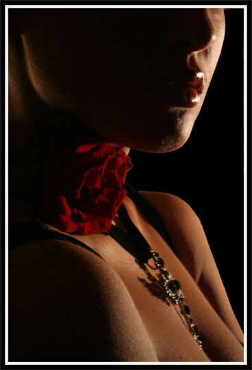  LIKE A ROSE