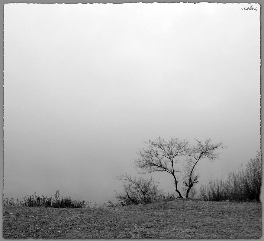 lonely-in-fog