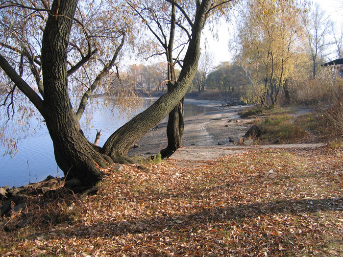 Осень над Днепром
