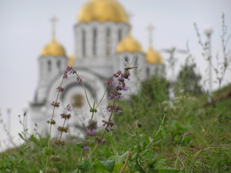 Все мы твари Божьи