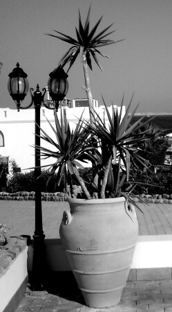 Мальчик+Девочка=Л.......