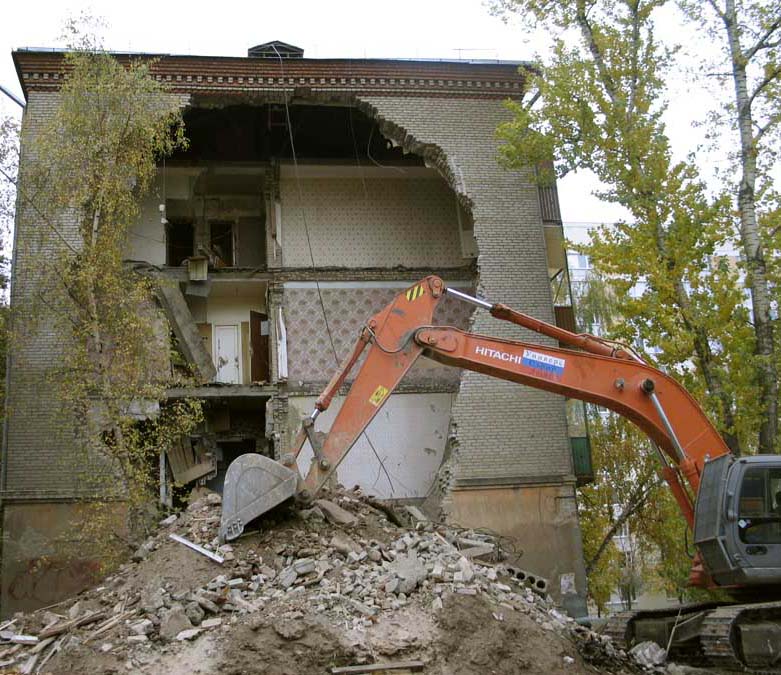 испуганное дерево