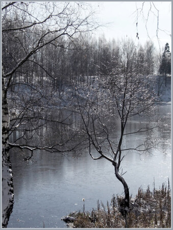 Осеннее утро 2