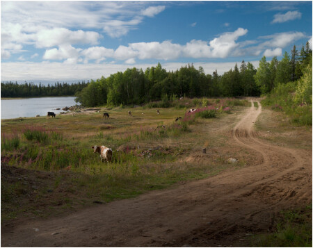 Пейзаж 65 параллели