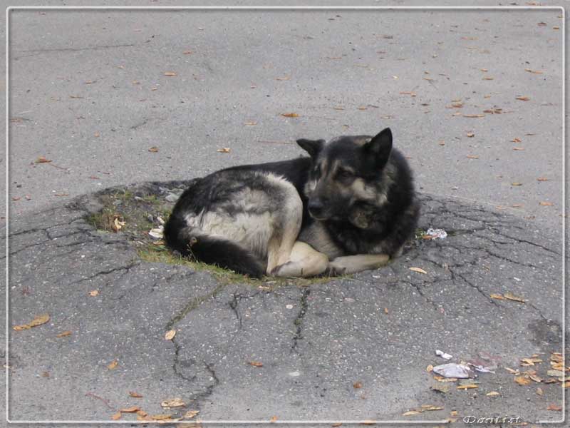 На холодном ветру