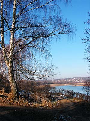 Тропинка в осень