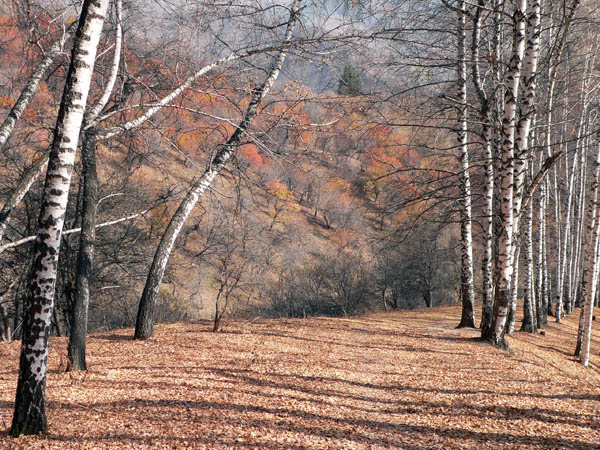 Осень