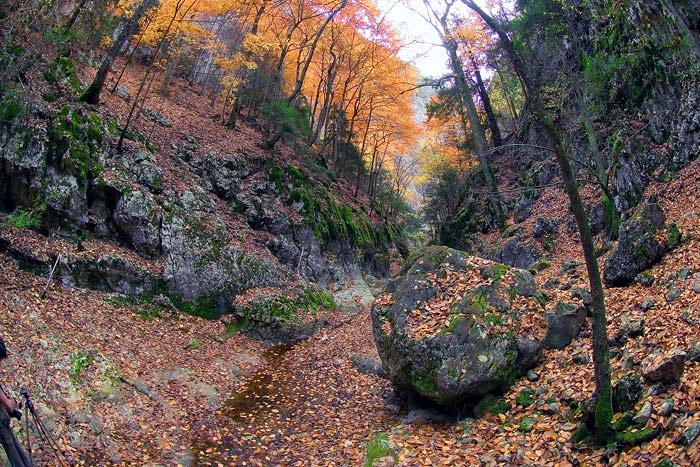 Серия; Осень в Большом Каньоне.