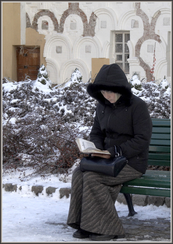 Портрет увлеченно читающей...