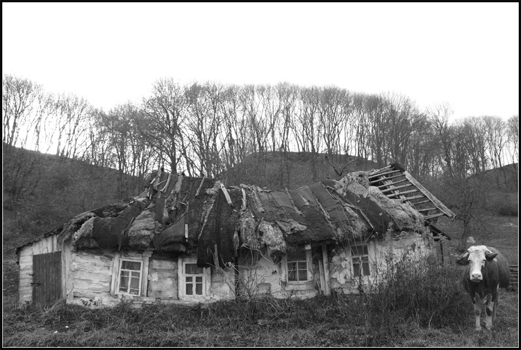 Домик в деревне
