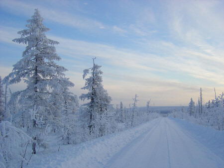 Дорога