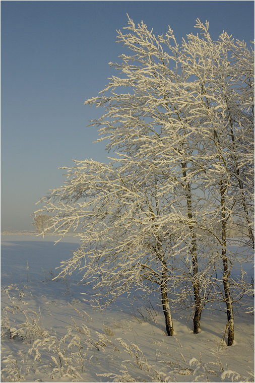 The Winter evening...