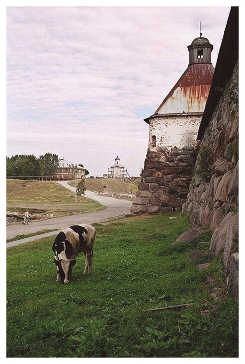 У стены монастыря