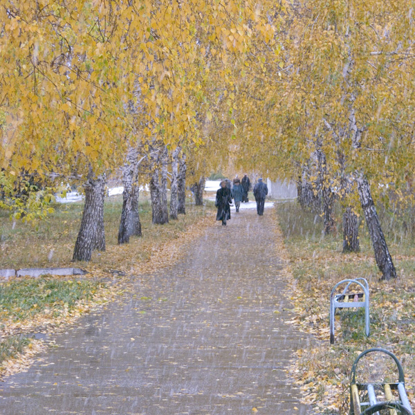 Поздняя осень