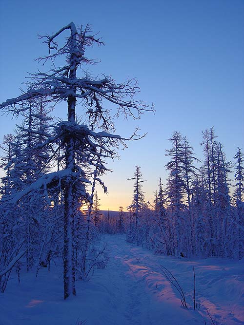 Рассвет
