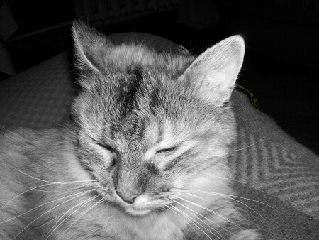 Мудрая Маша