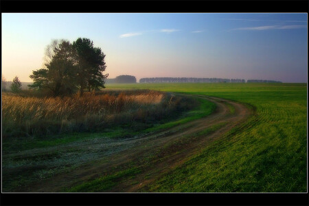 Зеленая осень