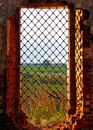 дверь в Лето